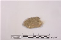 藏品(地衣)的圖片